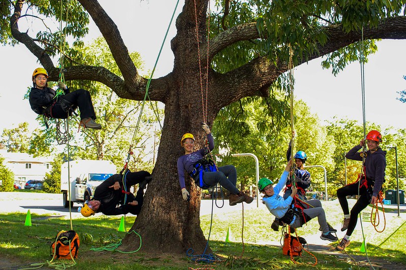 Teen attendee climbs tree with instructor