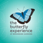 BG The Butterfly Experience-Festival-with leaves (1)