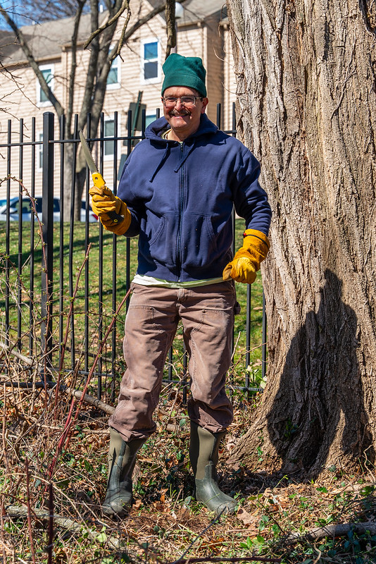Volunteer after cutting vine off tree