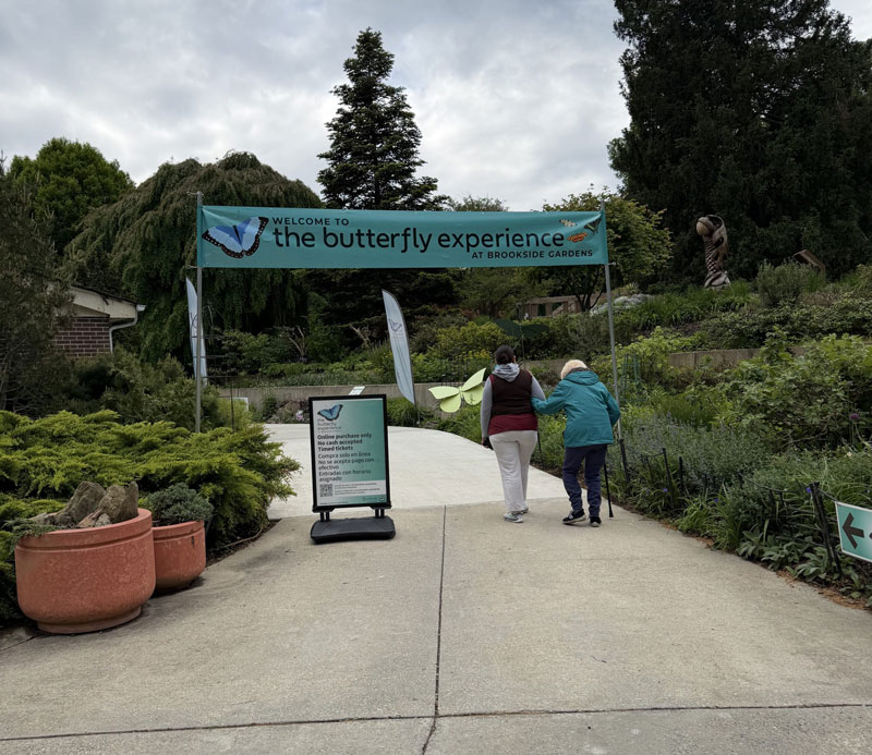 Beginning of path leading to the butterfly experience with banner above the sidewalk