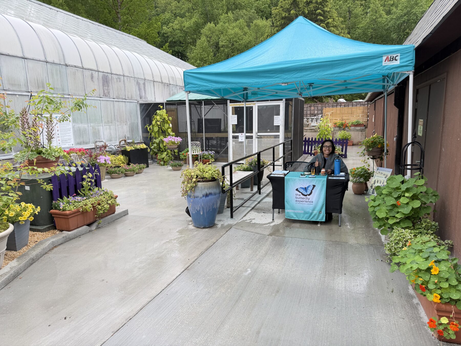 Blue tent next to the door on the right side of the conservatory. There is a table under the blue tent and a person sitting at the table