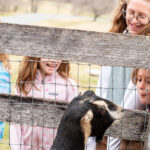 homeschool ag history farm park photo