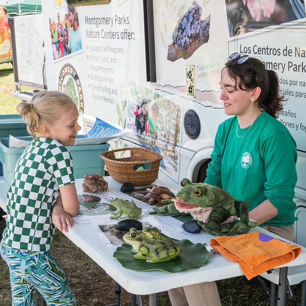 An adult in a green shirt talking to a child in front of a table with frog toys.
