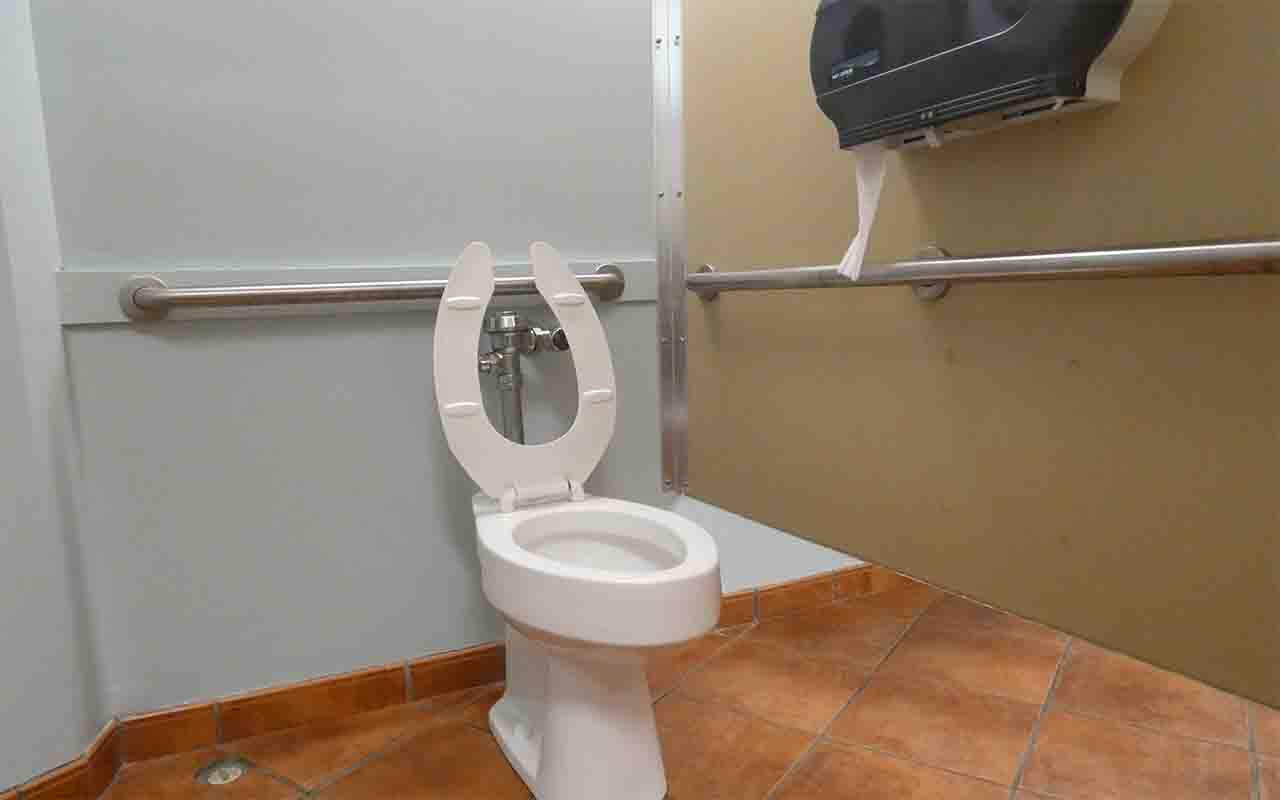 Accessible toilet stall with handrails