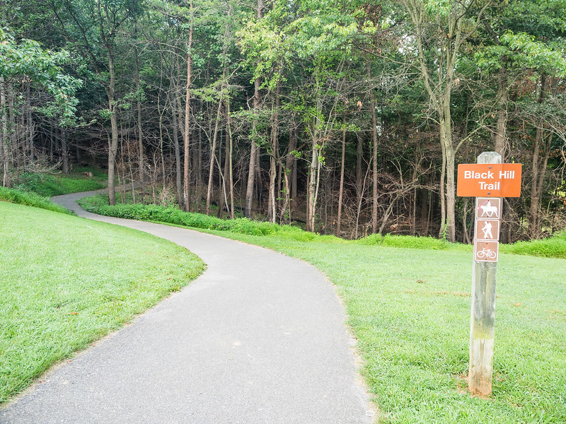 start of black hill trail with labeled signpost
