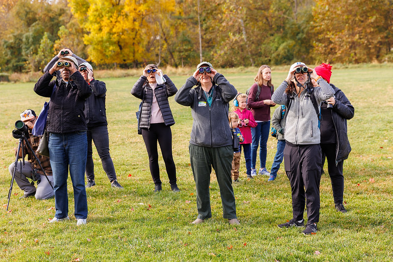 Group of people holding binoculars to their face and looking up at the sky