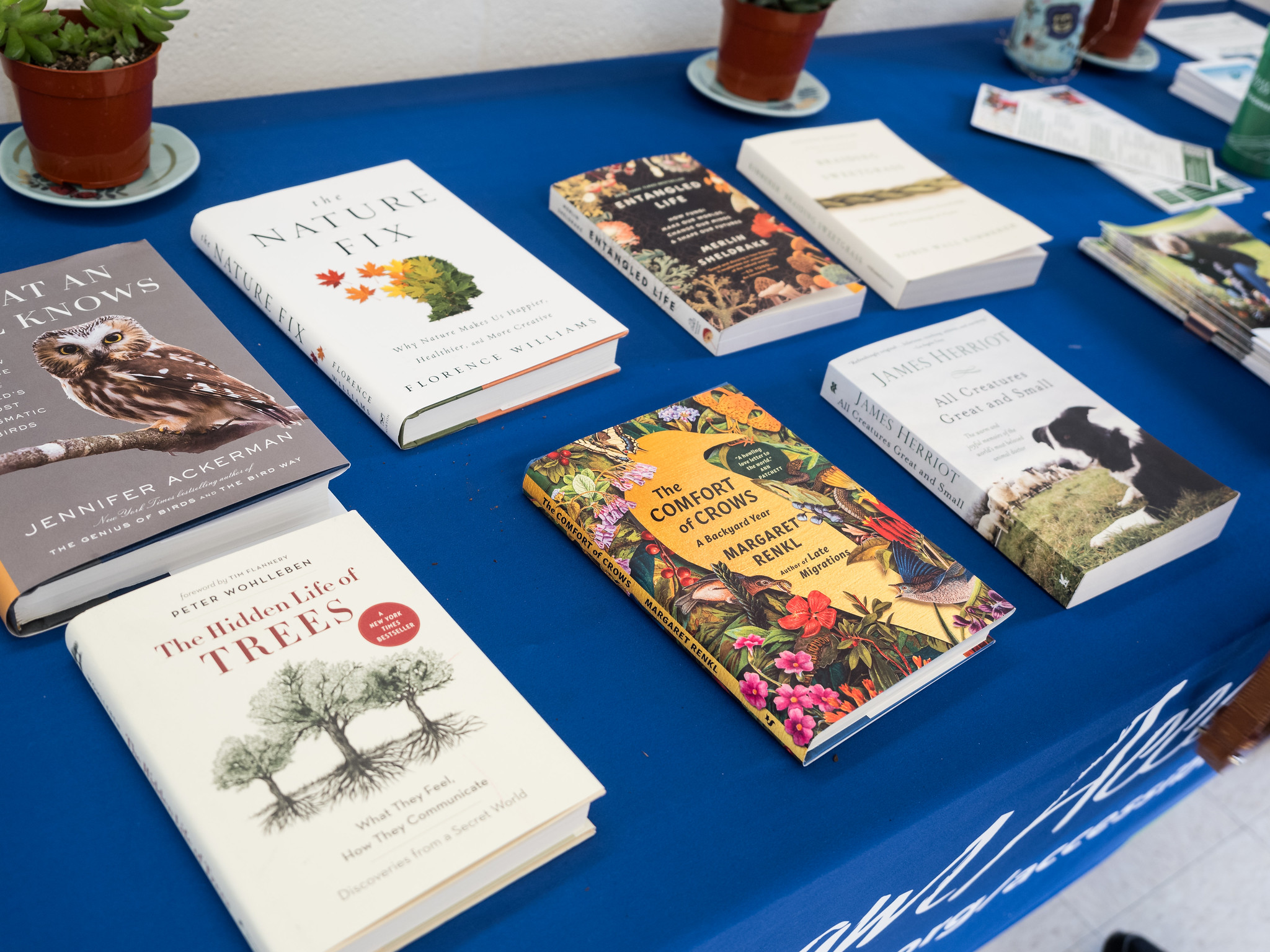A group of books sit on a table