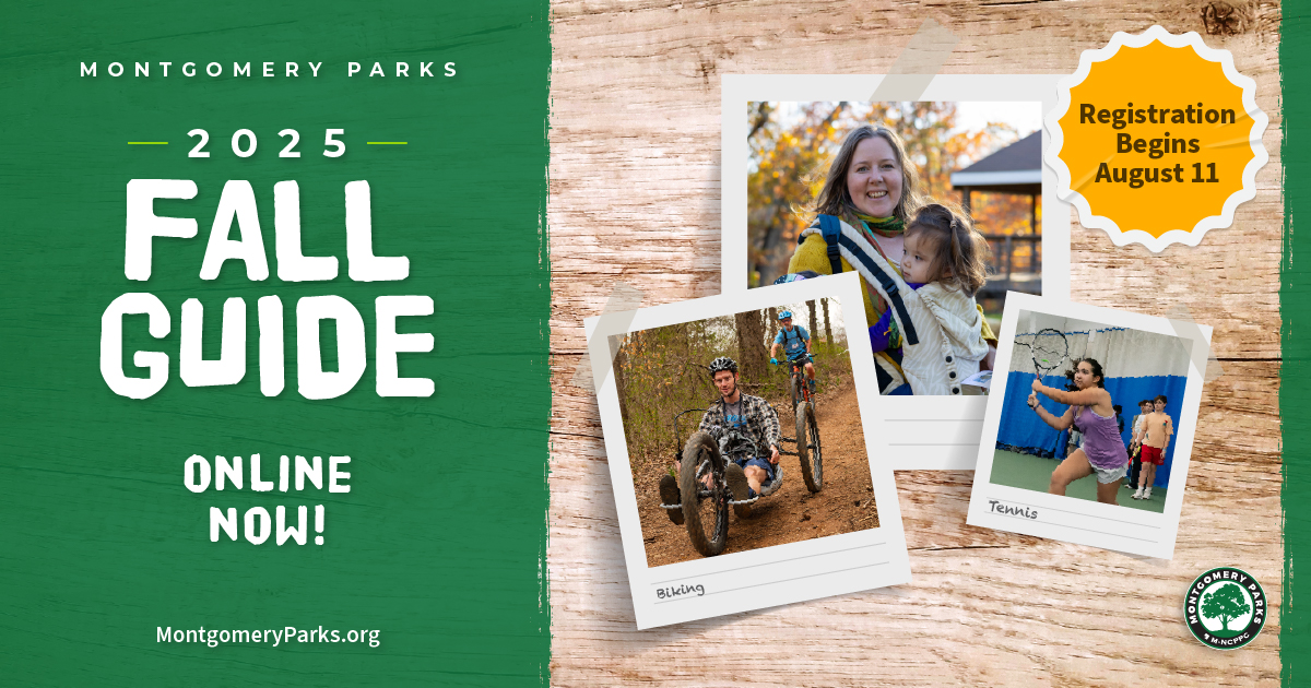 2025 Fall Guide, Online Now. Polaroid photos of people doing different activities. Registration opens August 11