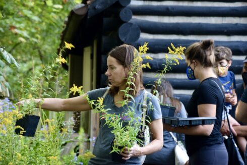 Person holding potted native plant.