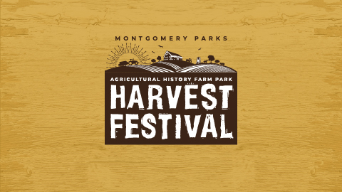 Harvest Festival