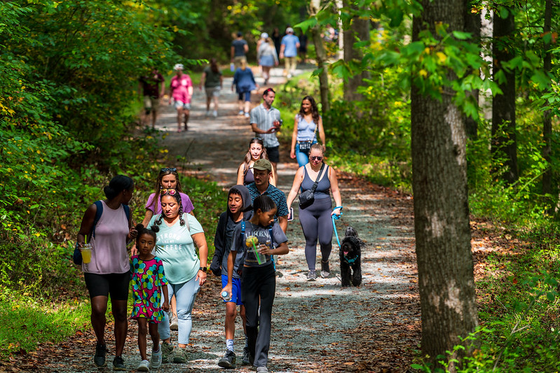 Groups of people hiking along trail.