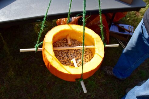 Pumpkin birdfeeder.