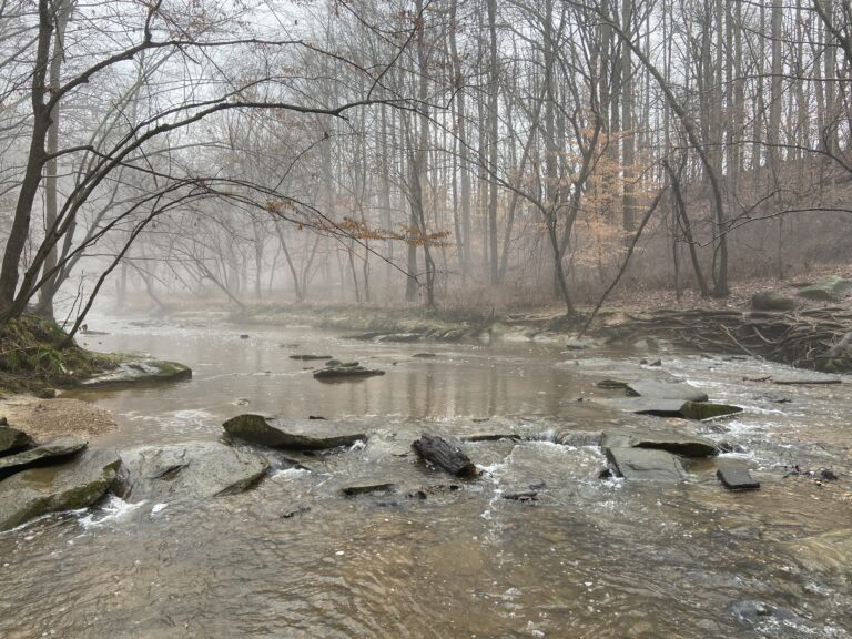 It's cloudy and slightly foggy. The picture is of a shallow creek flowing over rocks. The creek is surounded by woods and the trees have no leaves.