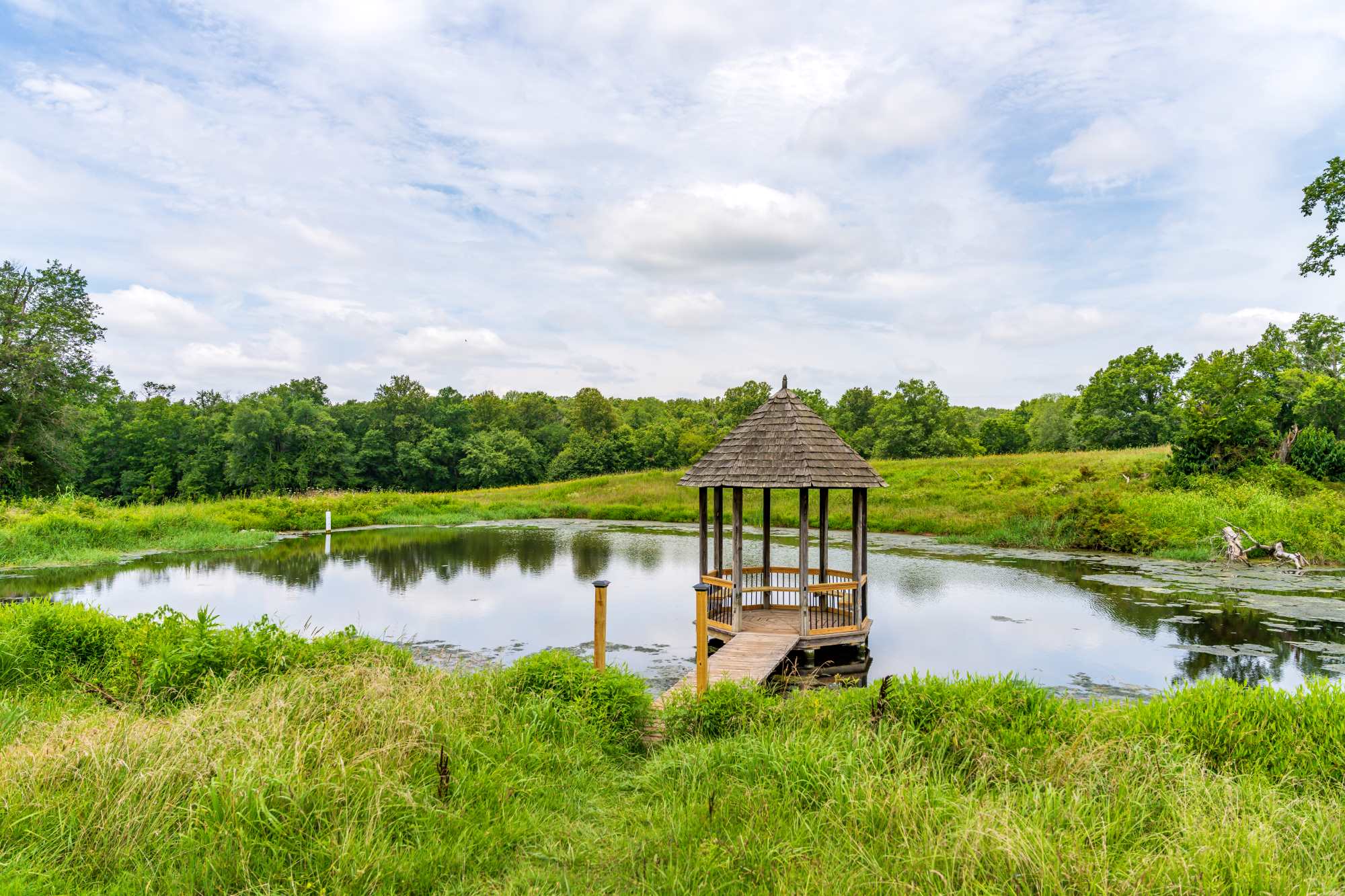 A gazebo next to a small pond at Royce Hanson Conservation Park