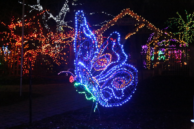Multicolor illuminated butterfly display.