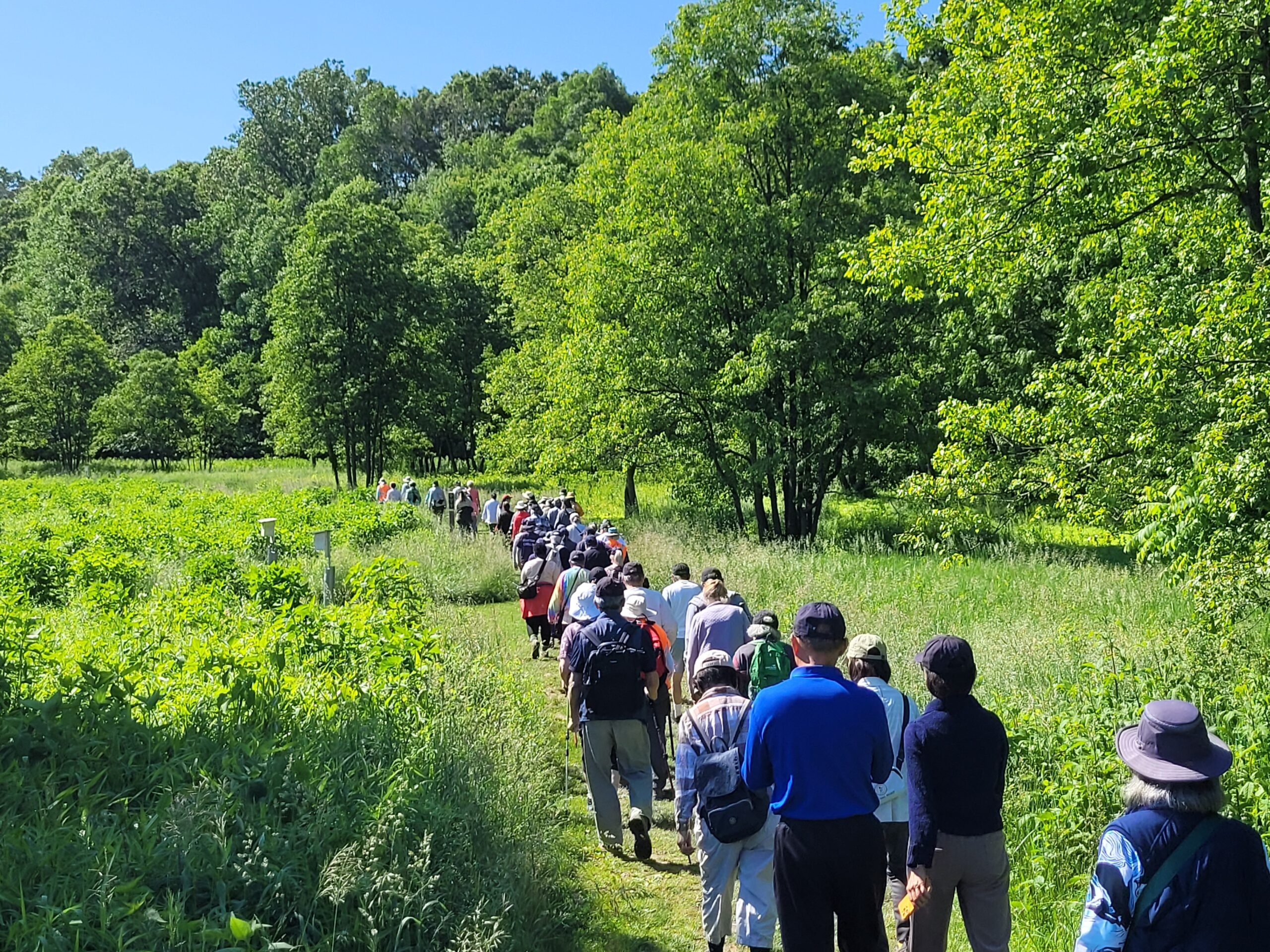 A group of Montgomery Explorers hiking on a natural surface trail in Rachel Carson Conservation Park.