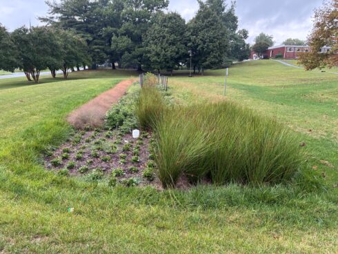 micro retention site at Colesville Local Park with plantings and grass to collect storm water runoff. 