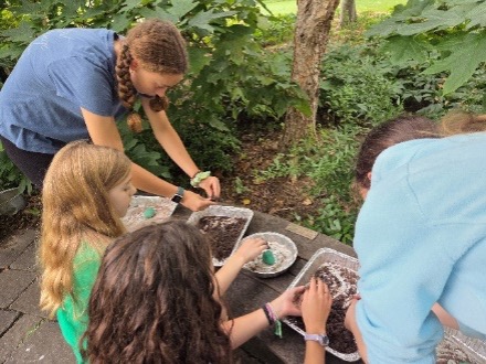 Children conducting a plant exercise.