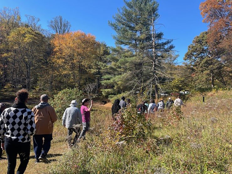 People on a nature walk.