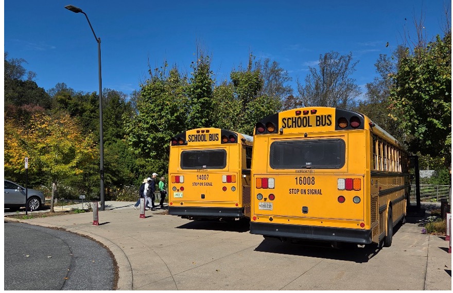 School buses lined up.