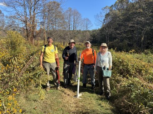 Volunteers in a meadow with tools
