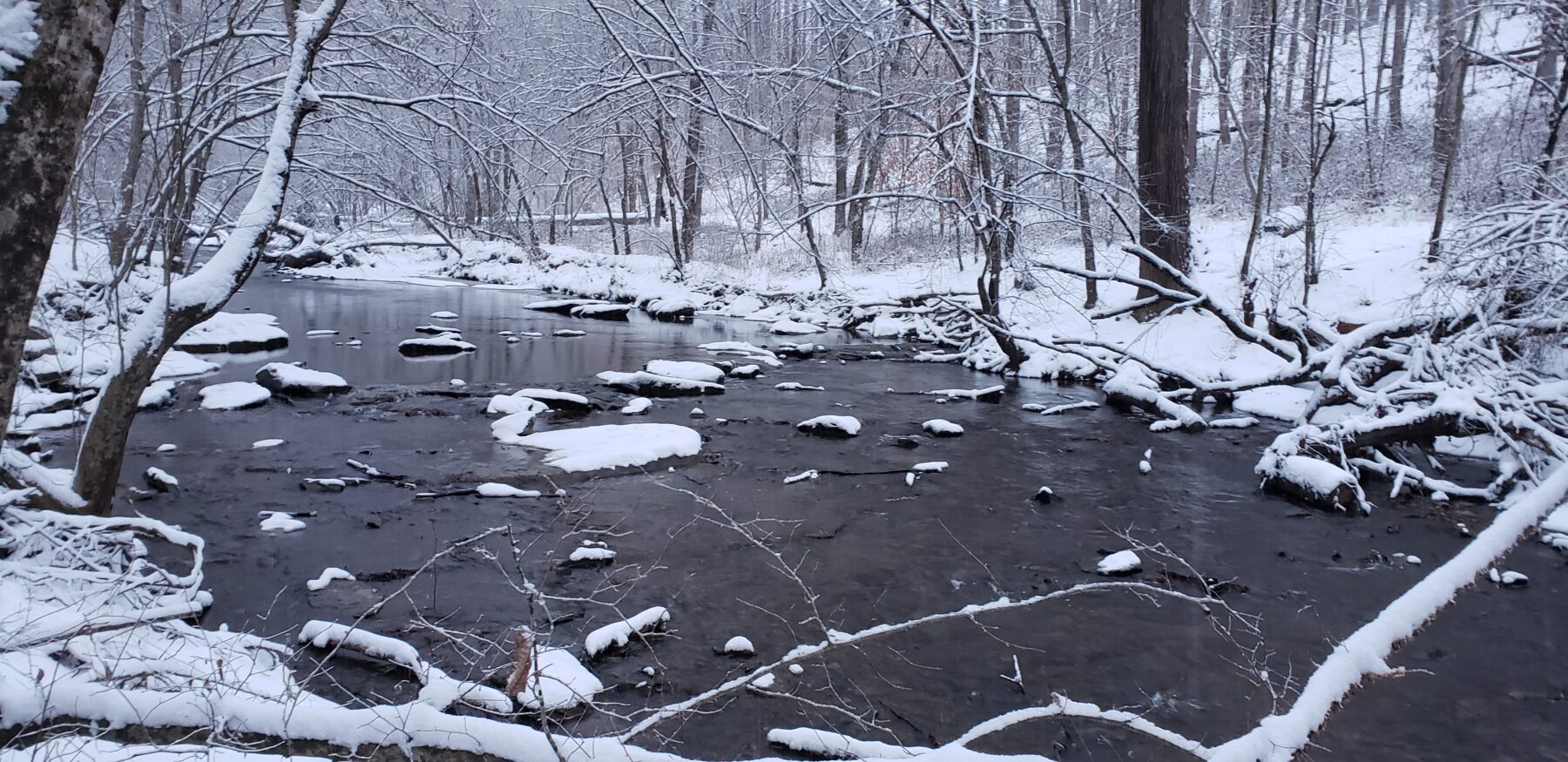 A slow moving creek with water that look brown or black because the sun isn't out. The forest on either side of the creek and the ground are all covered with snow. The rocks the break the surface of the creek are also covered with snow.
