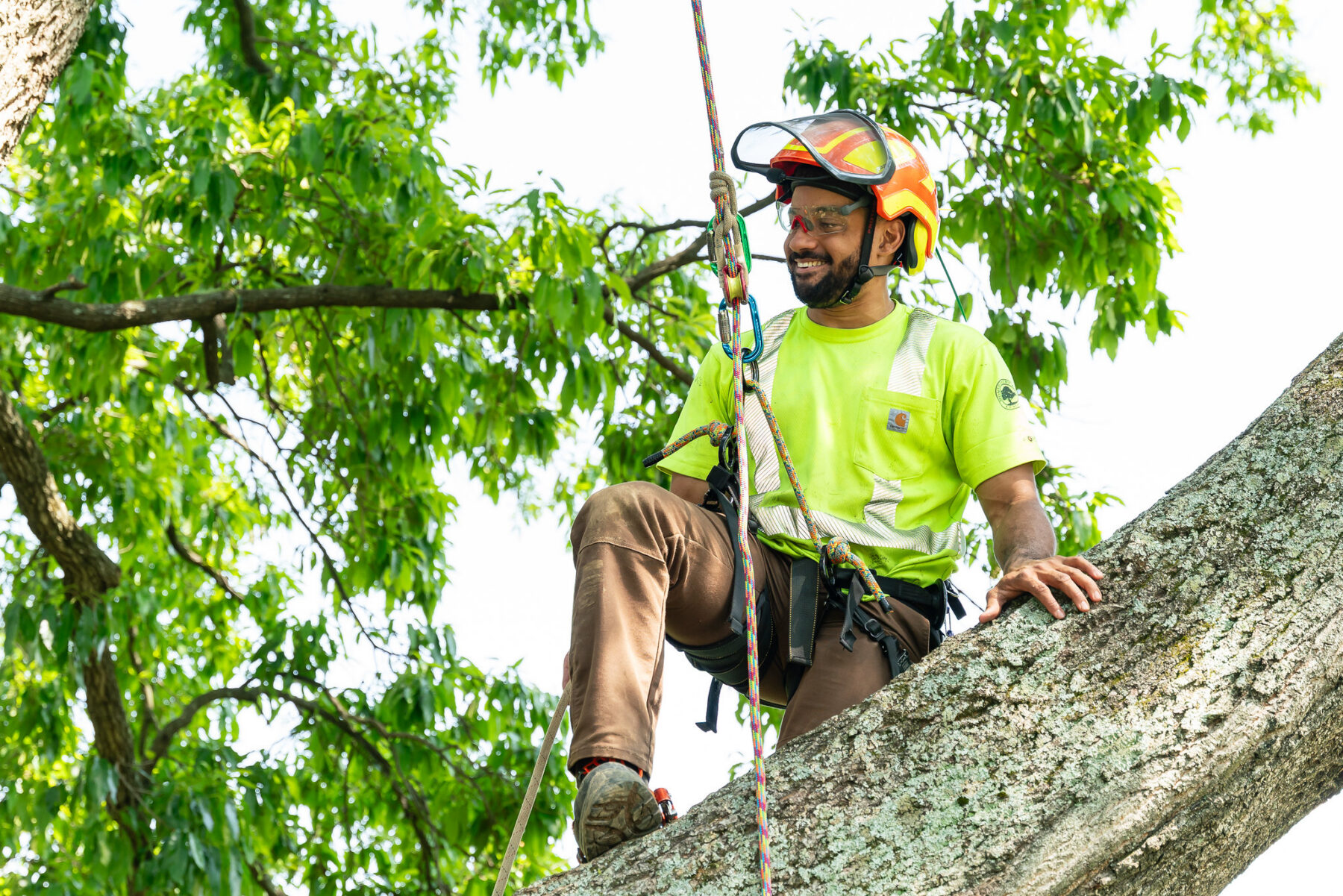 54523882376_a4bd72d0a3_k