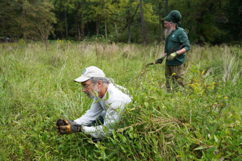two volunteers plant in the meadow