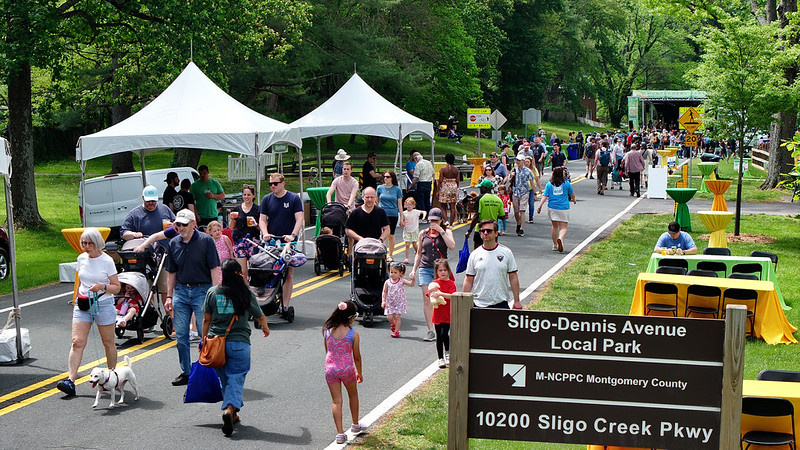 Drone shot of crowd walking along Sligo Creek Parkway 