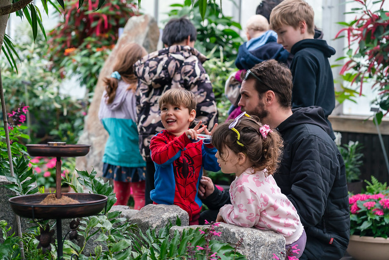 Children and an adult at Brookside Gardens Conservatory lush indoor garden with various plants and flowers, observing butterfly. The scene highlights interaction and curiosity, with children dressed in colorful clothing, including one in a red and blue Spider-Man outfit, gathered around a stone planter and a small water feature.