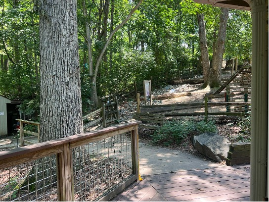 Nature exploration area