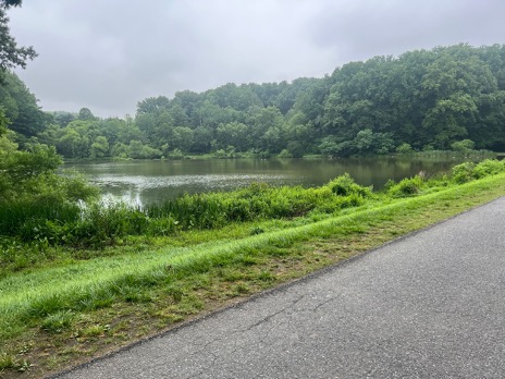 A picture of a large pond surrounded by trees with a paved path in the foreground
