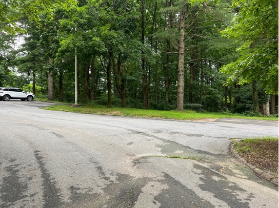 A road with a sole car in the background on the left with trees behind the car and road