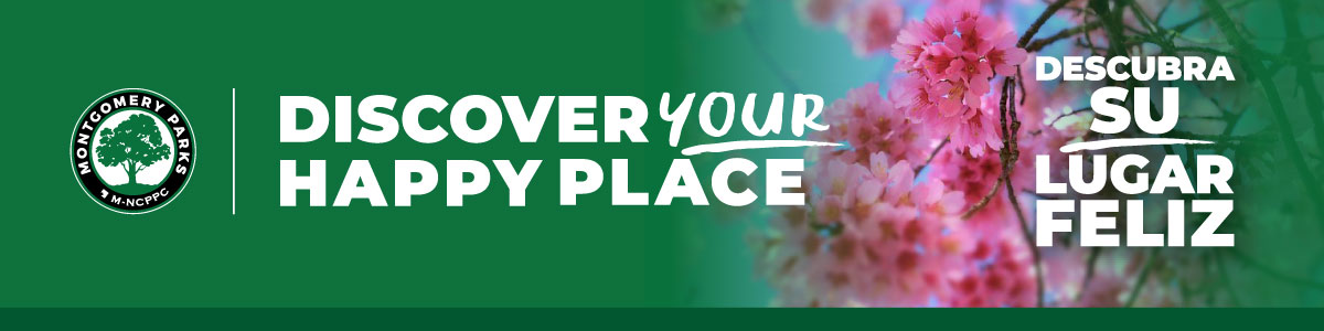 Logo with Discover Your Happy Place, Descubra Su Lugar Feliz with cherry blossom photos