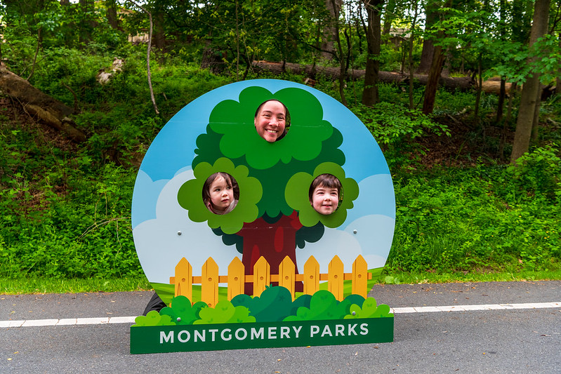 Attendee and two children smile for camera in a tree themed face-in-the-hole