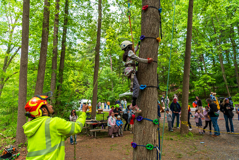 Child climbs tree with harness in tree climbing activity