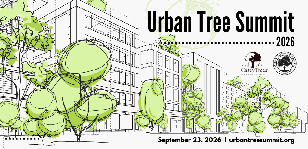 Urban Tree Summit Banner image 2026