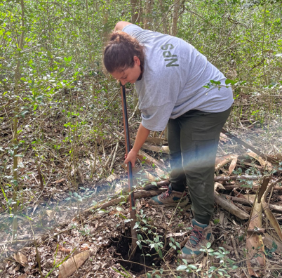 A woman digging into dirt with a shovel in a grassy area