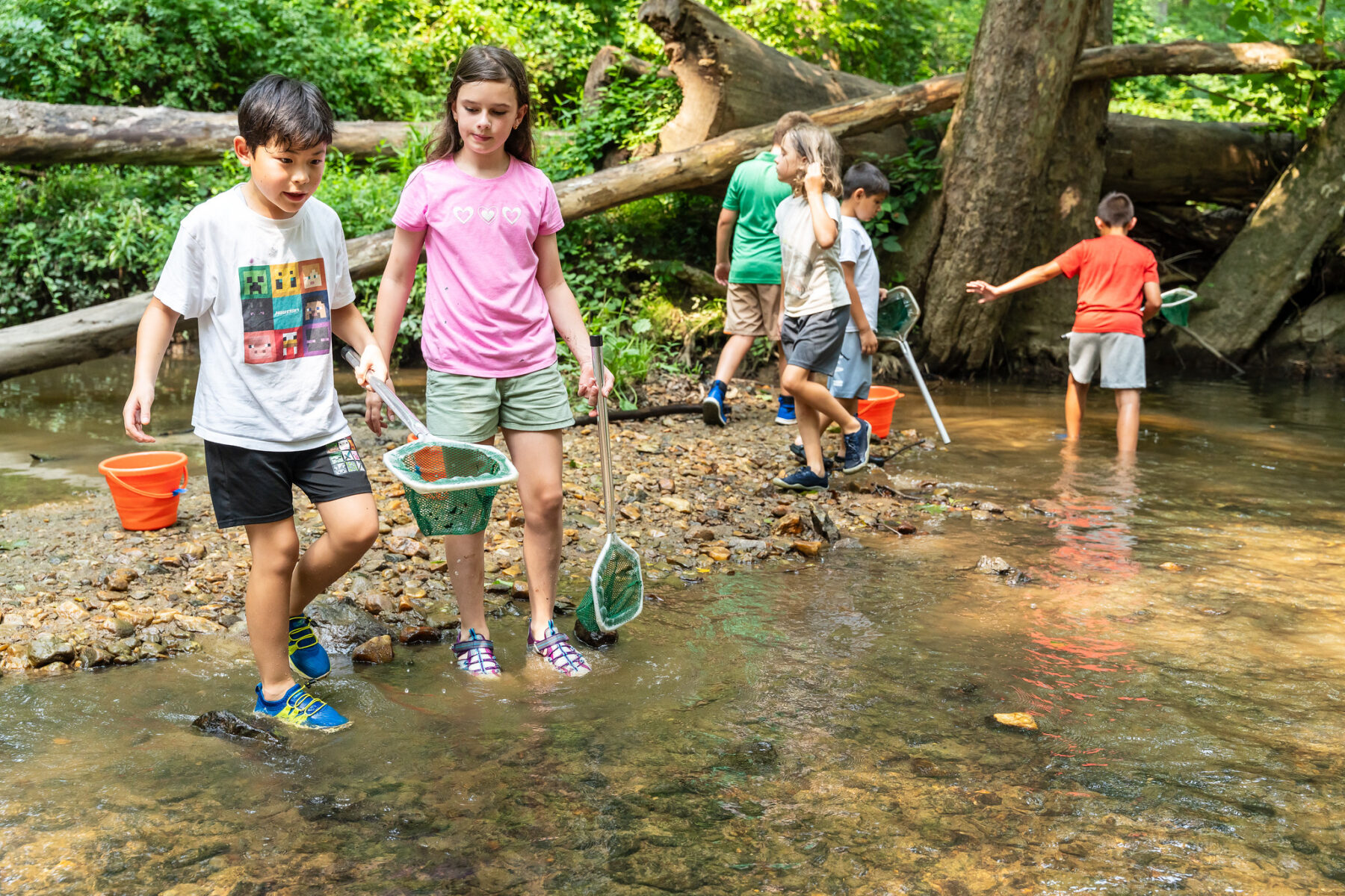 Kids looking in a creek