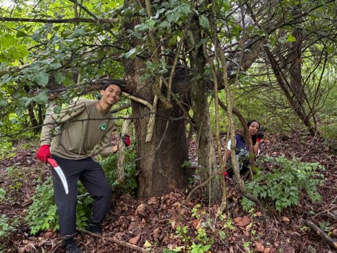 Weed Warrior Volunteers with a saw cut huge bittersweet