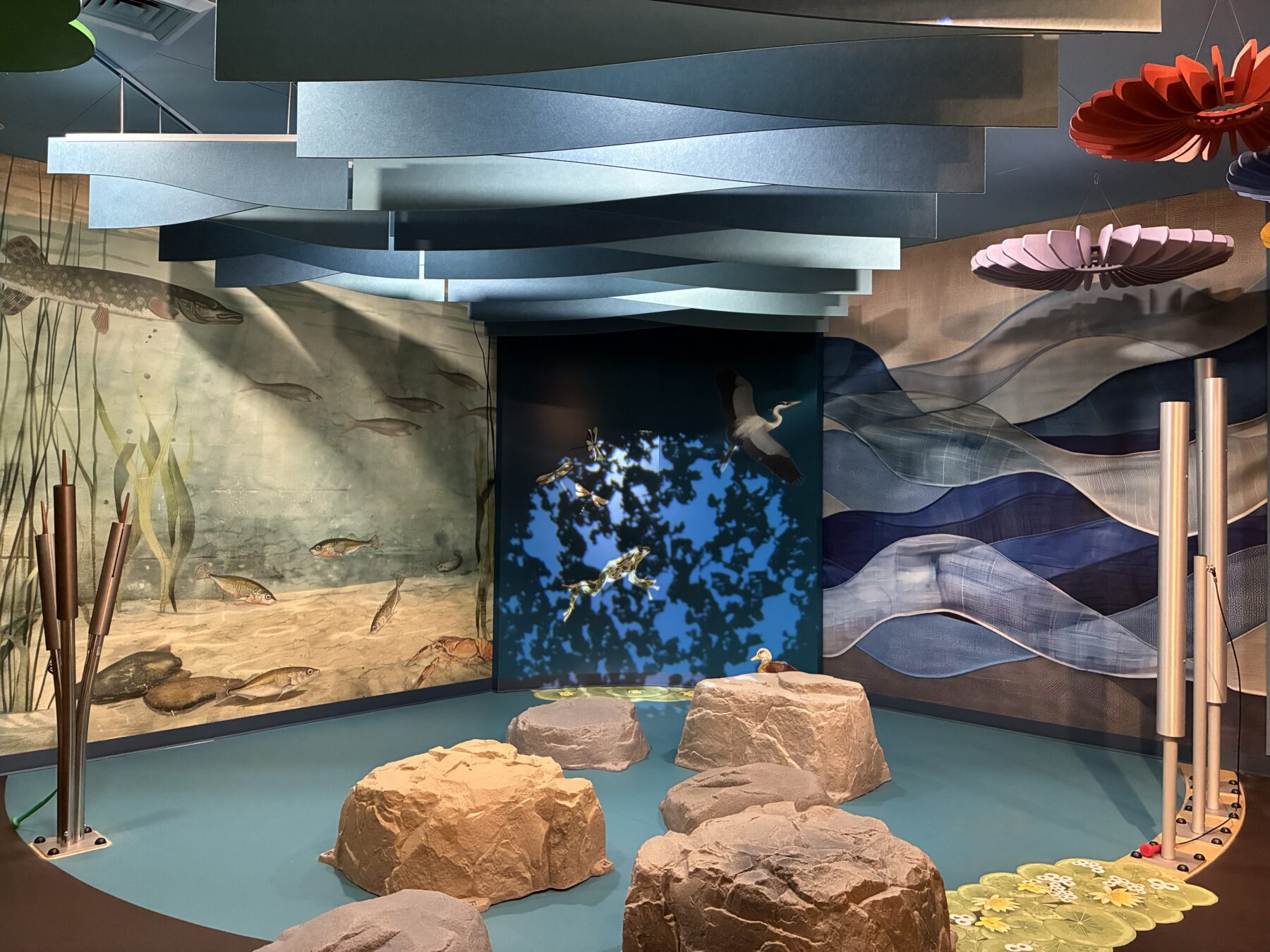 Artistic drawings of fish, birds, and frogs. There's an artistic drawing of under a pond with fishing swimming. In the middle front of the image are light brown stones.
