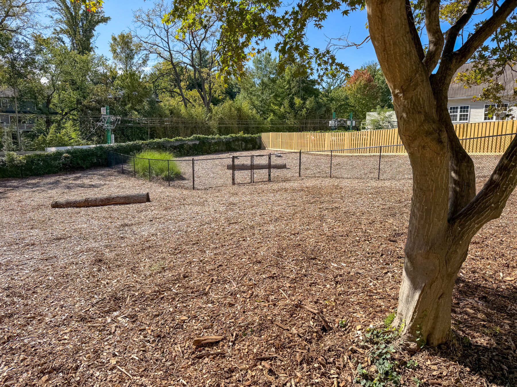 Montgomery Avenue Dog Run