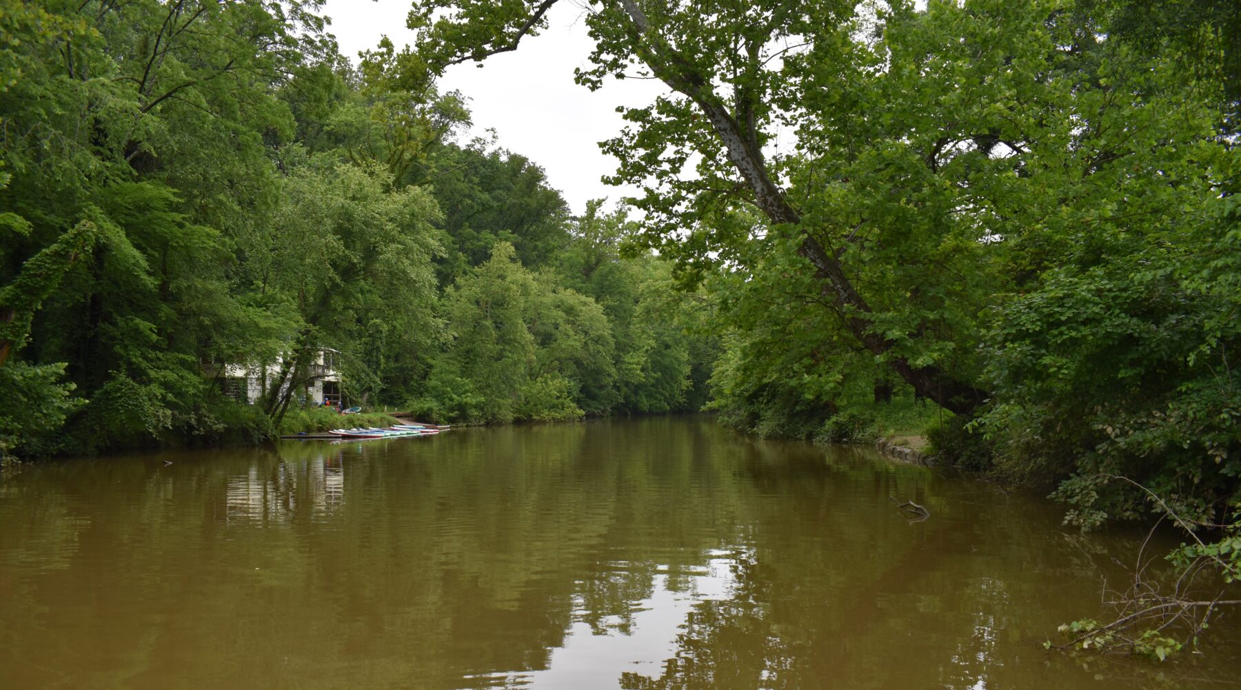 view of a river surrounded by trees on a cloudy day