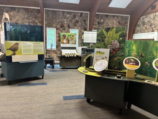 Newly renovated interior of Meadowside Nature Center